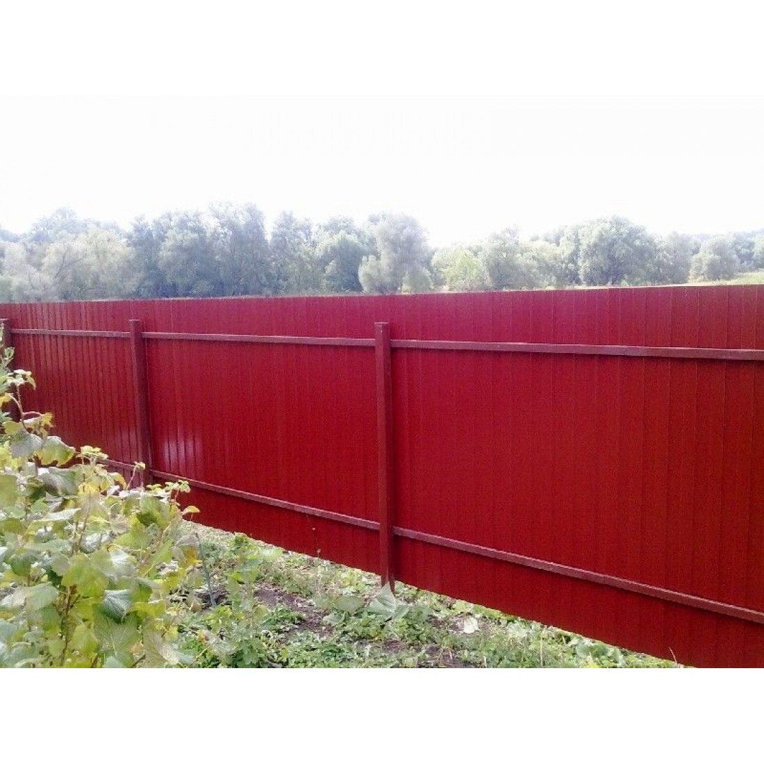 Красный забор из профнастила